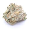 White Rhino Strain Flower - Indica Dominant Hybrid