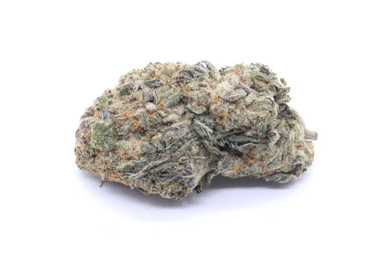 White Rhino