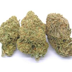 White Rhino Strain Flower - Indica Dominant Hybrid White Rhino Strain Flower - Indica Dominant Hybrid