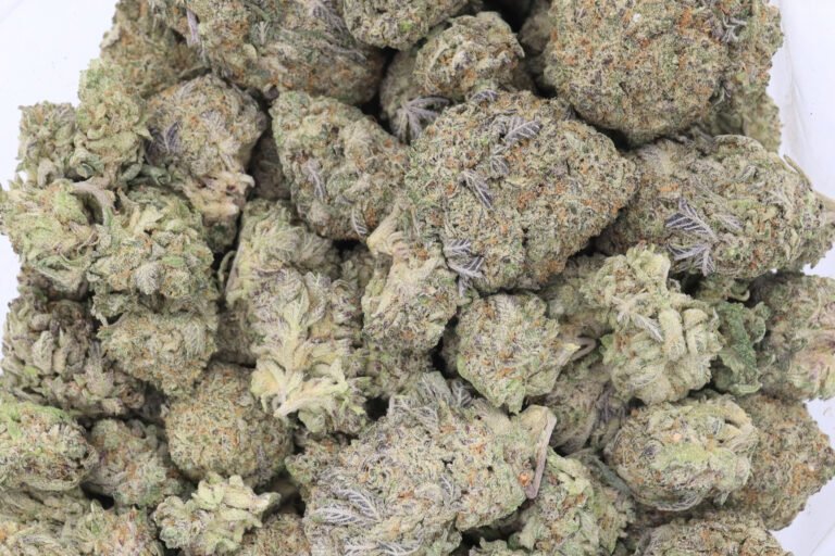 White Rhino