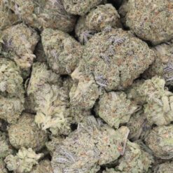 White Rhino Strain Flower - Indica Dominant Hybrid