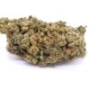Golden Kush Strain Greenhouse Flower - Hybrid Golden Kush Strain Greenhouse Flower - Hybrid