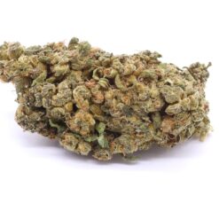 Golden Kush Strain Greenhouse Flower - Hybrid