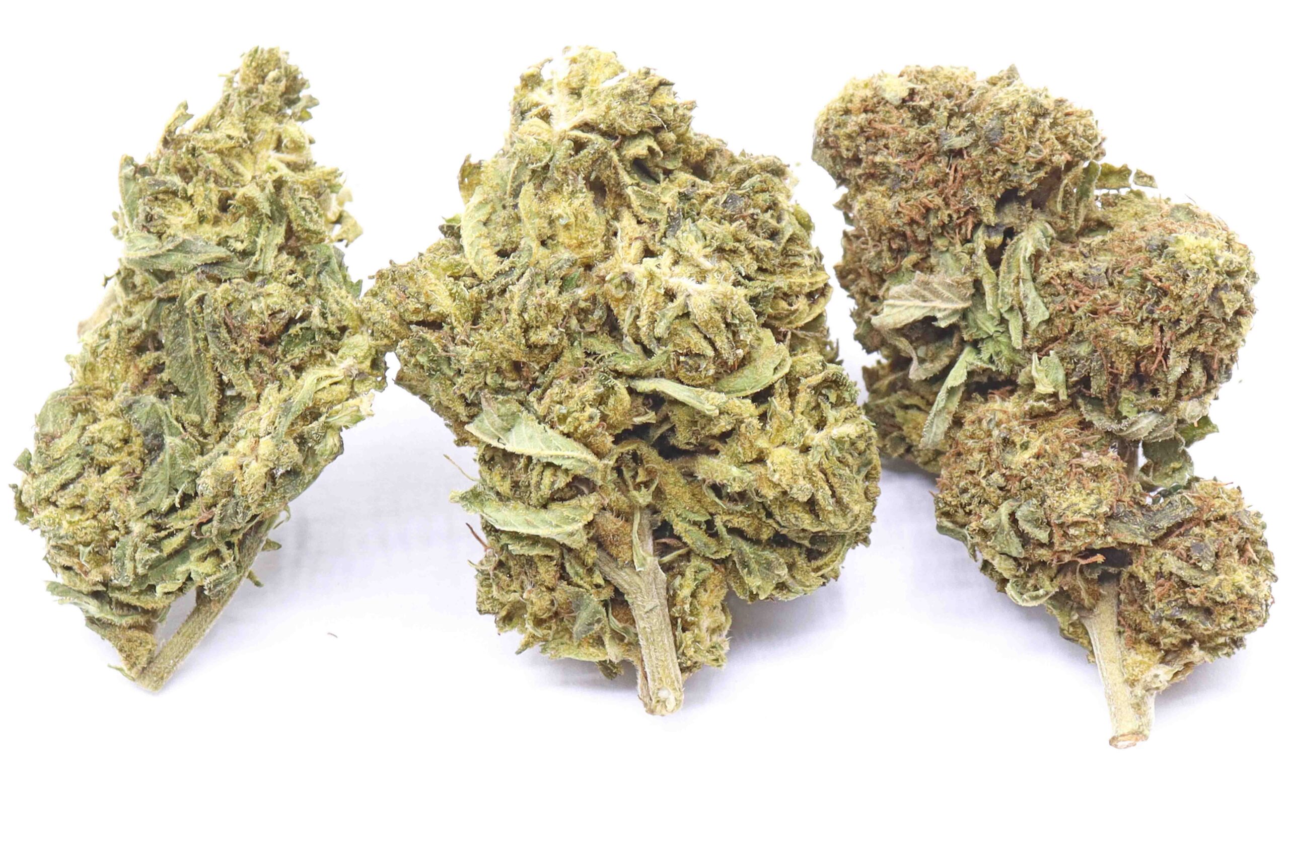 Golden Kush Strain Greenhouse Flower | Buy Online Canada | Lowest Price