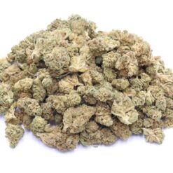 Ice Dream Strain Small Buds - Indica Dominant Hybrid Ice Dream Strain Small Buds - Indica Dominant Hybrid