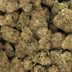 Ice Dream Strain Flower - Indica Dominant Hybrid