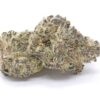 Purple Octane Strain Flower - Indica Dominant Hybrid