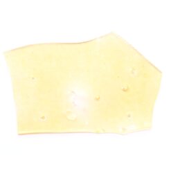 UK Cheese Strain Shatter - Indica Dominant Hybrid UK Cheese Strain Shatter - Indica Dominant Hybrid