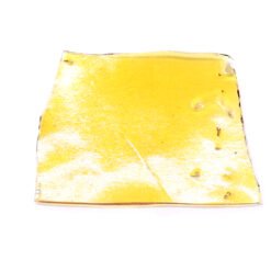 UK Cheese Strain Shatter - Indica Dominant Hybrid UK Cheese Strain Shatter - Indica Dominant Hybrid