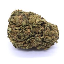 Afghani Hash Plant Strain Flower - Indica Dominant Hybrid