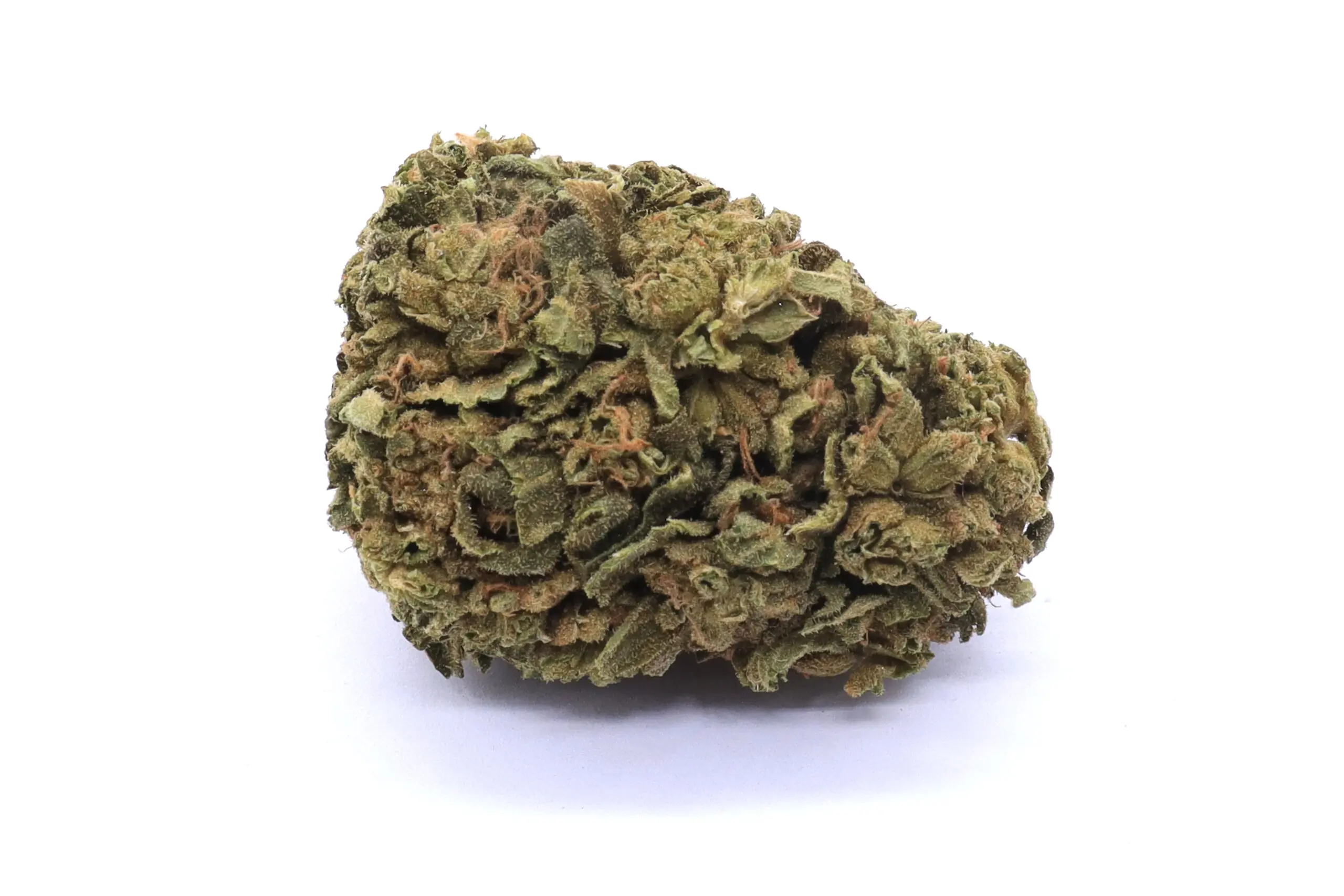 Afghani Hash Plant Strain Flower - Indica Dominant Hybrid Afghani Hash Plant Strain Flower - Indica Dominant Hybrid