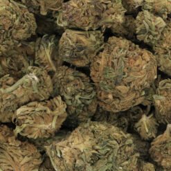 Afghani Hash Plant Strain Flower - Indica Dominant Hybrid