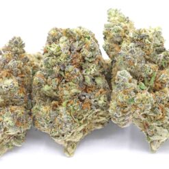 Alien Cookies Strain Flower - Hybrid Alien Cookies Strain Flower - Hybrid
