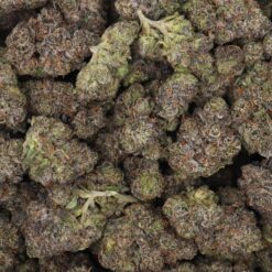 Oreoz Strain Flower - Indica Dominant Hybrid Oreoz Strain Flower - Indica Dominant Hybrid