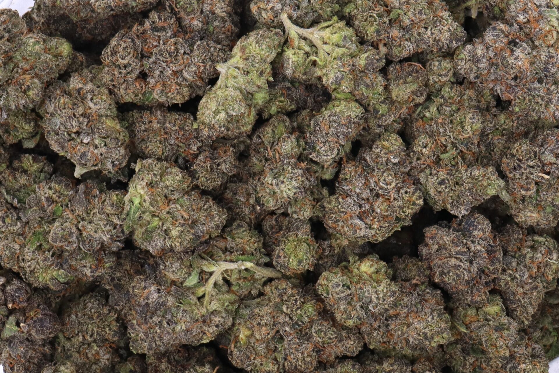 Oreoz Strain Flower - Indica Dominant Hybrid Oreoz Strain Flower - Indica Dominant Hybrid