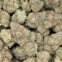 NYC Diesel Strain Flower - Sativa Dominant Hybrid NYC Diesel Strain Flower - Sativa Dominant Hybrid