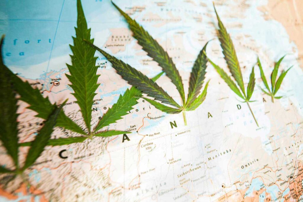 haute-health-how-to-travel-with-weed