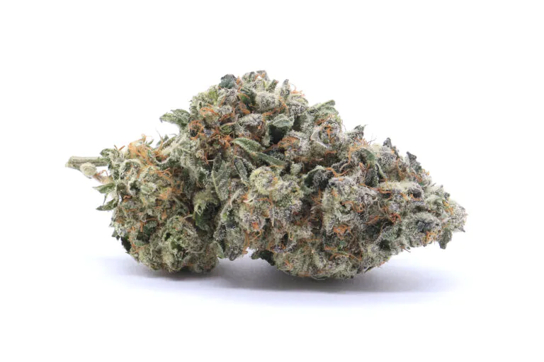 MAC Strain Flower - Hybrid MAC Strain Flower - Hybrid