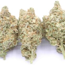 MAC Strain Flower - Hybrid MAC Strain Flower - Hybrid