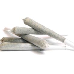 New York Power Diesel Strain AA Pre-Rolls - Sativa Dominant Hybrid - 1.4 Grams New York Power Diesel Strain AA Pre-Rolls - Sativa Dominant Hybrid - 1.4 Grams