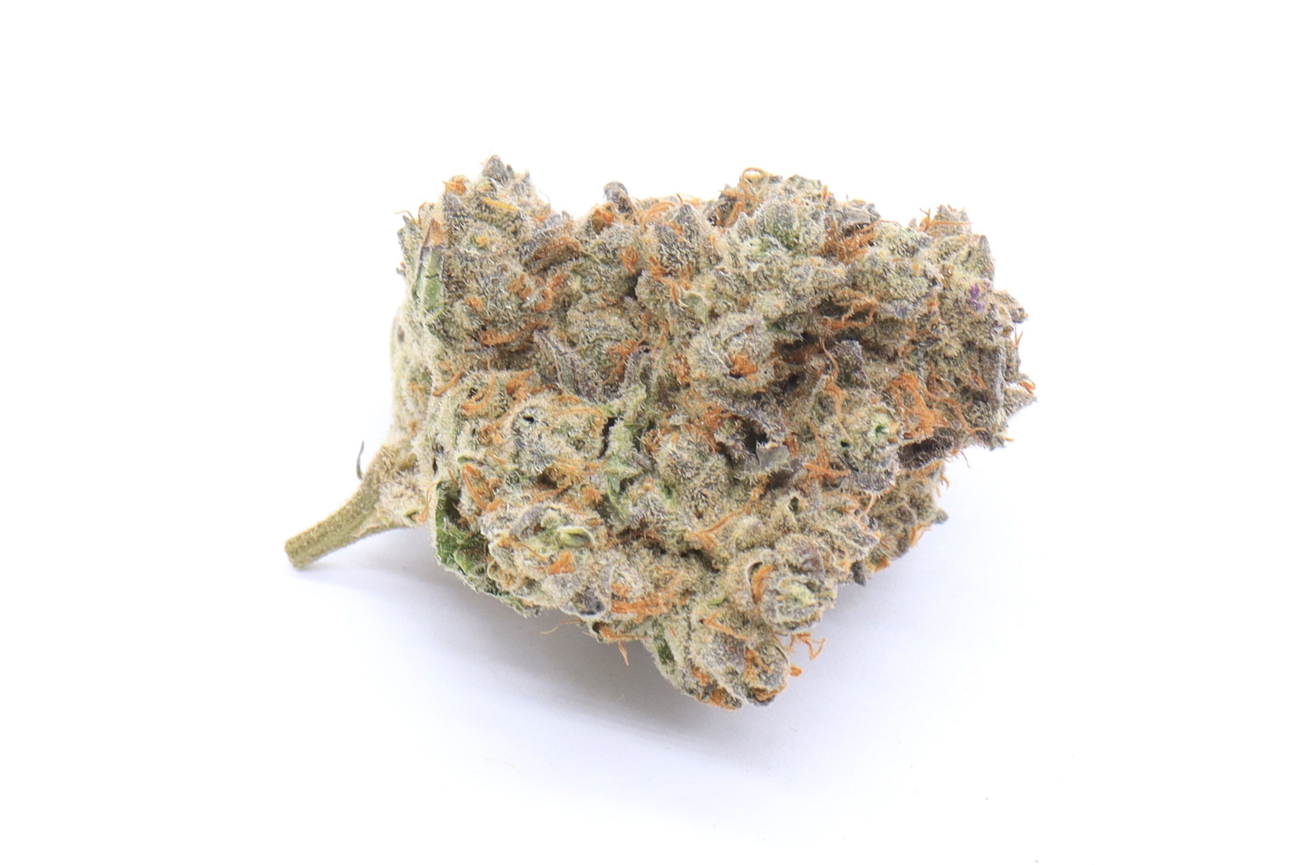 Biscotti Strain Flower - Indica Dominant Hybrid Biscotti Strain Flower - Indica Dominant Hybrid