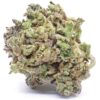 Biscotti Strain Flower - Indica Dominant Hybrid Biscotti Strain Flower - Indica Dominant Hybrid