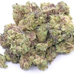 Biscotti Strain Flower - Indica Dominant Hybrid Biscotti Strain Flower - Indica Dominant Hybrid