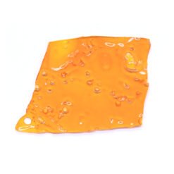 24K Gold Strain Shatter - Indica Dominant Hybrid