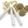 Cali Gold Strain Kief Infused Pre Rolls - Hybrid - 1.4 Grams Cali Gold Strain Kief Infused Pre Rolls - Hybrid - 1.4 Grams