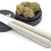Citrix Strain Pre-Roll - Hybrid - 1.4 Grams
