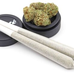 Citrix Strain Pre-Roll - Hybrid - 1.4 Grams Citrix Strain Pre-Roll - Hybrid - 1.4 Grams