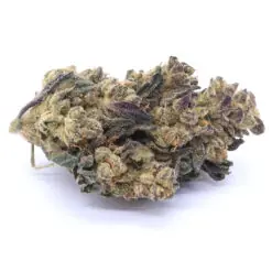 Grape Stomper Strain Flower - Sativa Dominant Hybrid
