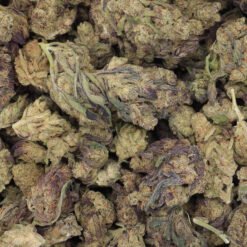 Grape Stomper Strain Flower - Sativa Dominant Hybrid