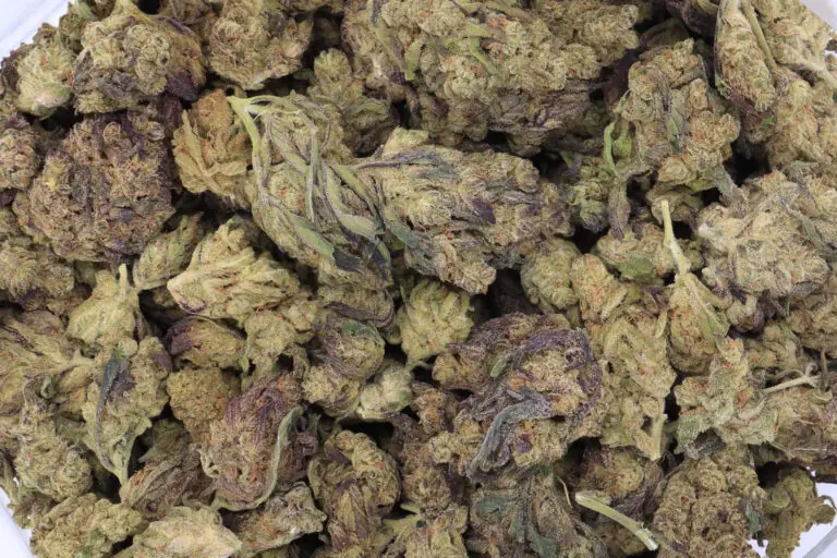 Grape Stomper