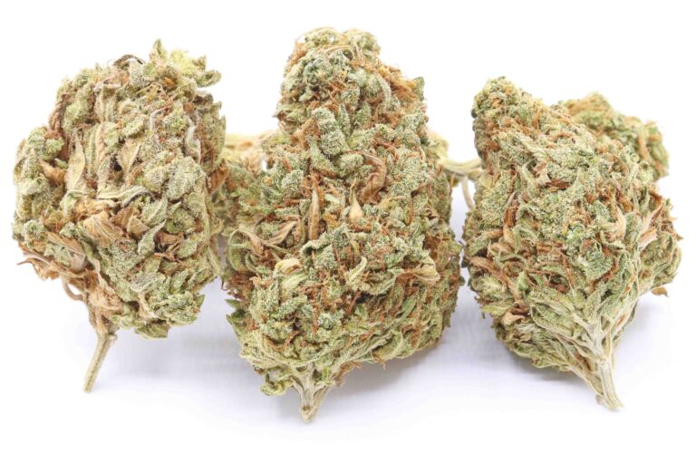 Grape Stomper