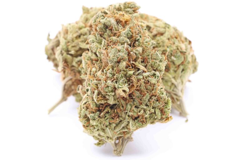 Grape Stomper