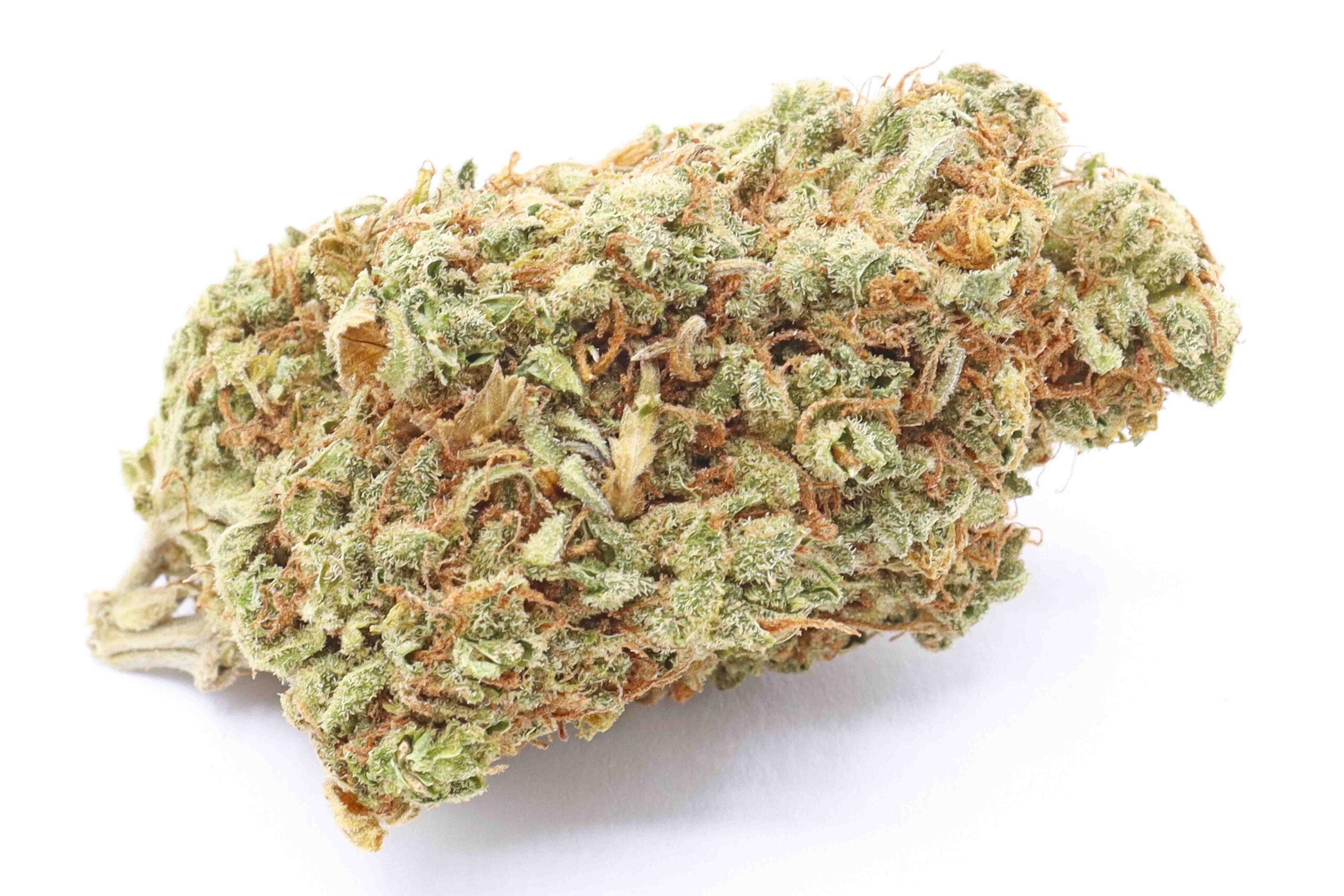 Grape Stomper Strain Flower - Sativa Dominant Hybrid