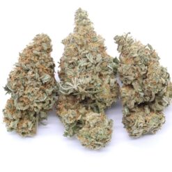 Grapefruit Kush Strain Flower - Indica Dominant Hybrid Grapefruit Kush Strain Flower - Indica Dominant Hybrid