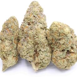 Ice Cream Cake Strain Flower - Indica Dominant Hybrid Ice Cream Cake Strain Flower - Indica Dominant Hybrid