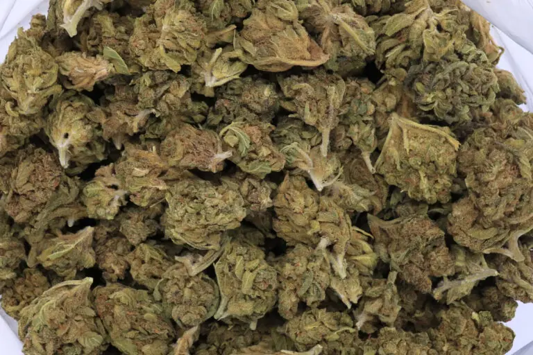 Island Maui Haze
