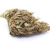Island Maui Haze Strain Greenhouse Flower - Hybrid Island Maui Haze Strain Greenhouse Flower - Hybrid