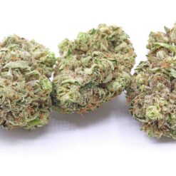 Jolly Green Giant Strain Kief Infused Pre Rolls - Indica Dominant Hybrid Jolly Green Giant Strain Kief Infused Pre Rolls - Indica Dominant Hybrid