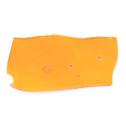 24K Gold Strain Shatter - Indica Dominant Hybrid