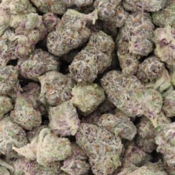 Platinum Purple Cookies Strain AAAA Small Buds - Hybrid Platinum Purple Cookies Strain AAAA Small Buds - Hybrid