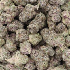 Platinum Purple Cookies Strain AAAA Small Buds - Hybrid