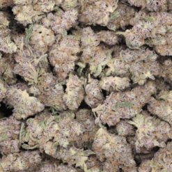 Platinum Purple Cookies Strain Flower - Hybrid