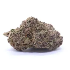 Purple Dream Strain Flower - Hybrid