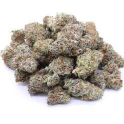 Thin Mint Girl Scout Cookies Strain - AAAA Small Buds - Hybrid
