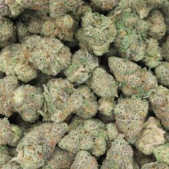 Thin Mint Girl Scout Cookies Strain Flower - Hybrid