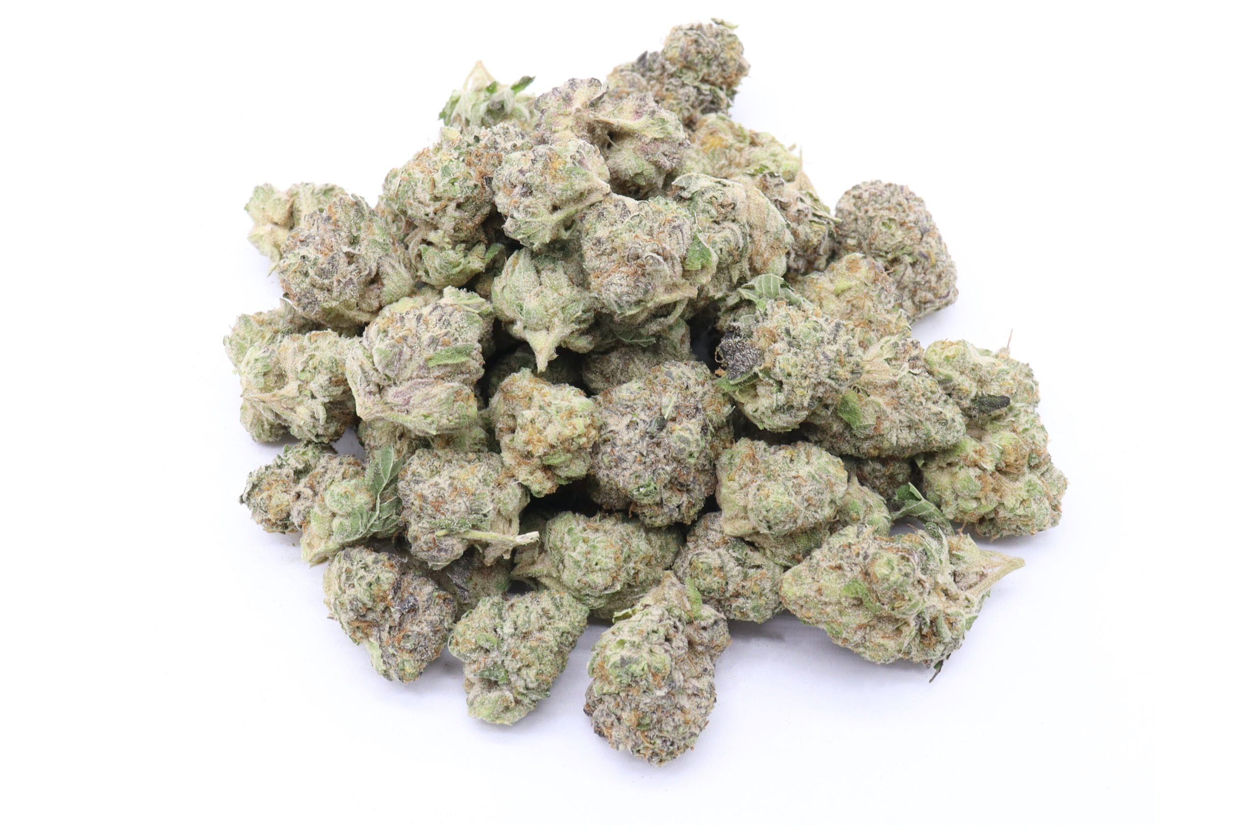 Thin Mint Girl Scout Cookies Strain - AAAA Small Buds - Hybrid